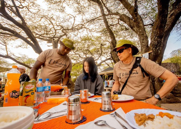 Serengeti family tour