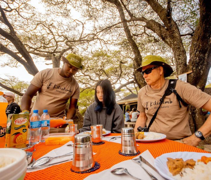 Serengeti family tour