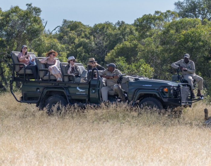South-Africa-Ngala-Tented-Camp-Elephants-sightseeing