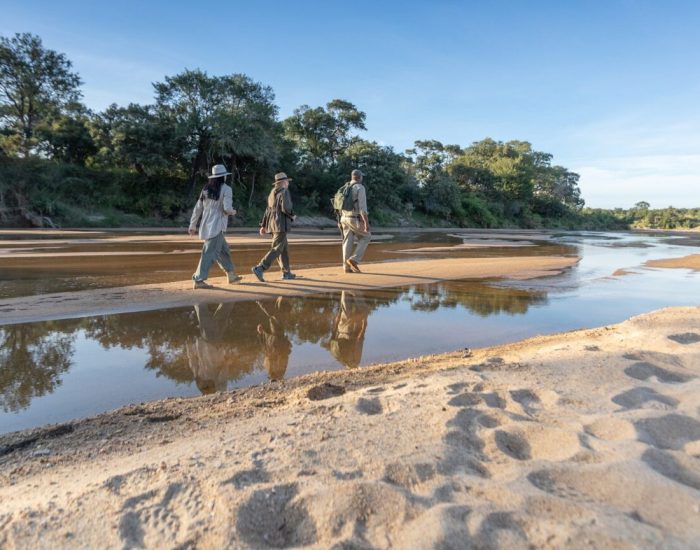 South-Africa-Ngala-Tented-Camp-Specialist-Walking-Safari-