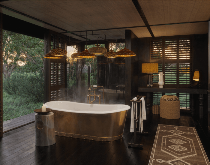 South-Africa-Phinda-Vlei-Suite-Bathroom-Render-