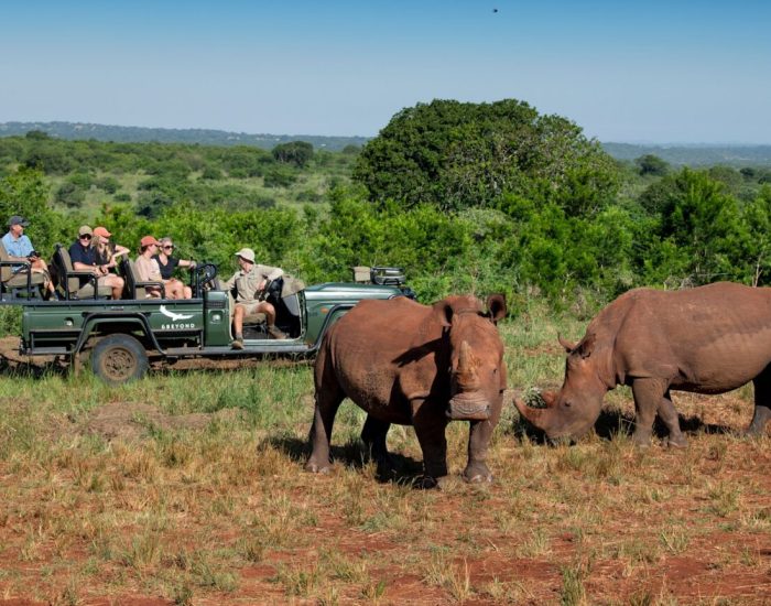 South-Africa-Phinda-Zuka-Lodge-game-drive-9-