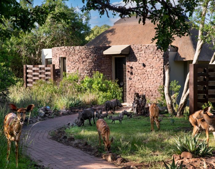 South-Africa-Phinda-Zuka-Lodge-suite-exterior-3-
