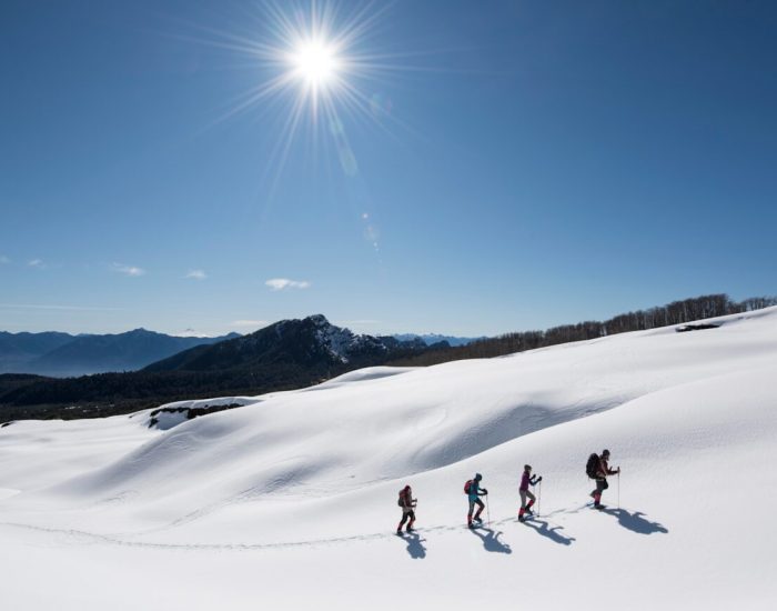 South-America-Chile-andBeyond-Vira-Vira-Experience-Winter-Activities-Snowshoeing-Landsc
