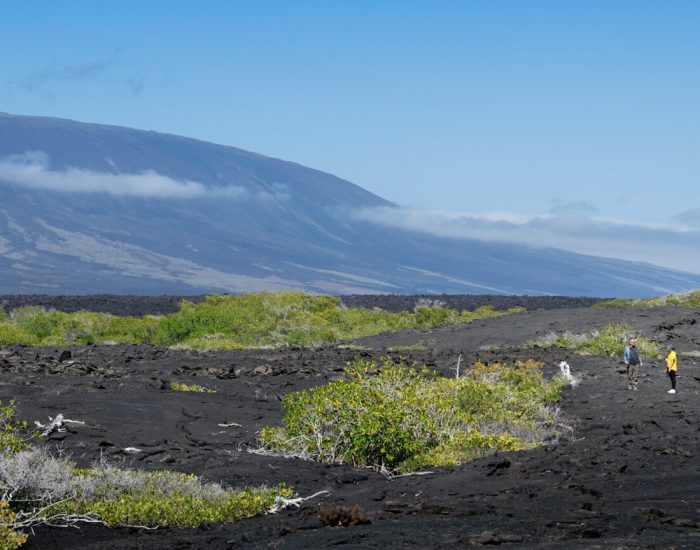 South-America-Ecuador-Galapagos-Islands-Galapagos-Explorer-island-hiking-4-