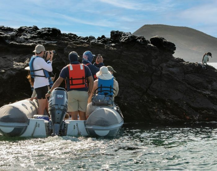 South-America-Ecuador-Galapagos-Islands-Galapagos-Explorer-panga-boat-ride-Galapagos-penguin-1