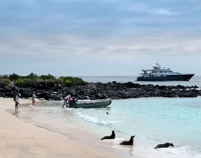 South-America-Ecuador-Galapagos-Islands-Galapagos-Explorer-wildlife-spotting