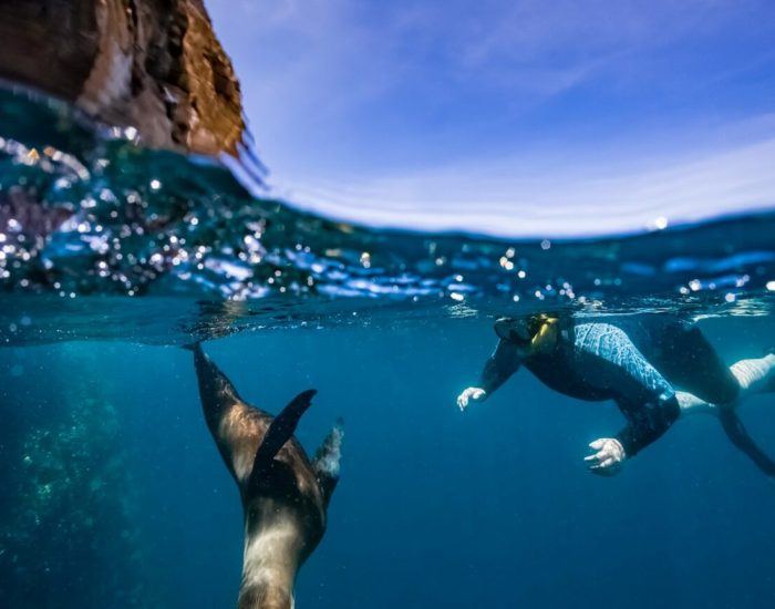 South-America-Ecuador-Galapagos-Snorkelling