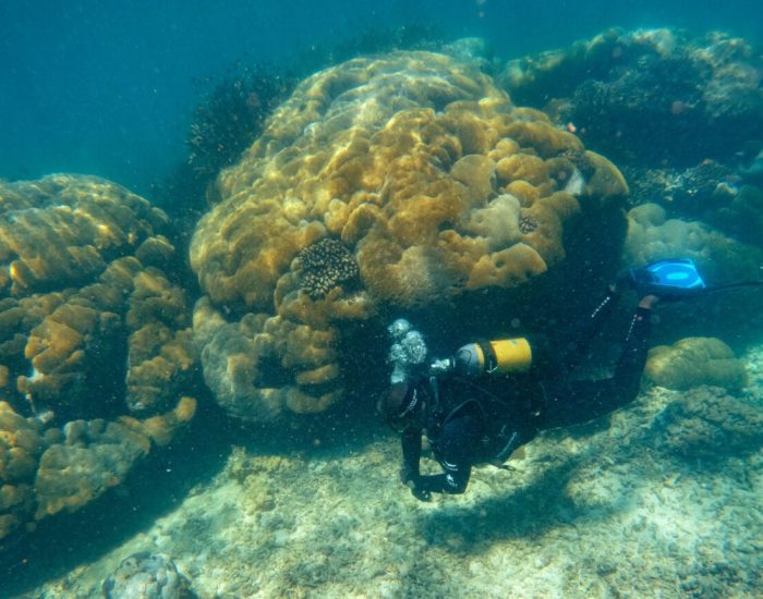 Southern-Africa-Mozambique-andBeyond-Benguerra-Island-experience-scuba-diving-