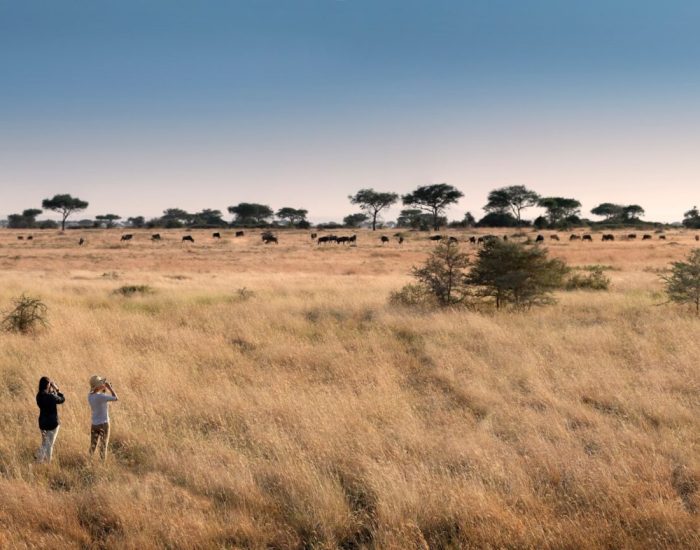 Tanzania-Grumeti-Serengeti-River-Lodge-Experiences-guided-nature-walk-