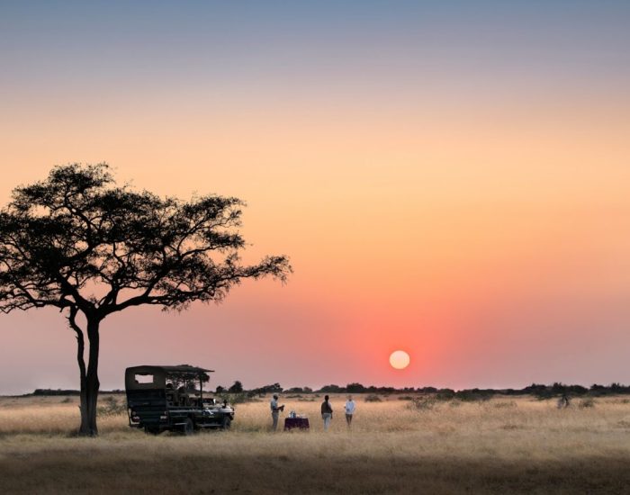 Tanzania-Grumeti-Serengeti-River-Lodge-Experiences-safari-game-drive-