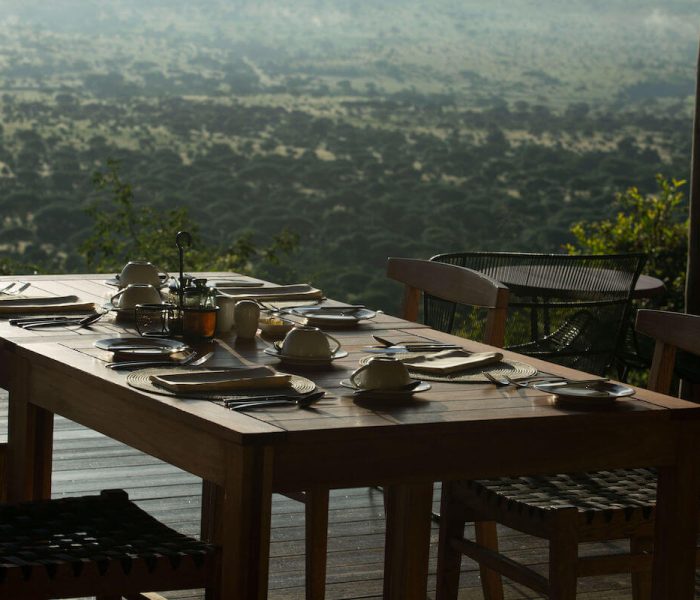 Tanzania Luxury Safari