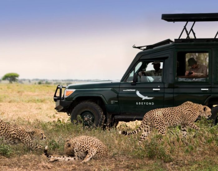 Tanzania-Serengeti-Under-Canvas-SUC-Experience-Game-drive-vehicle