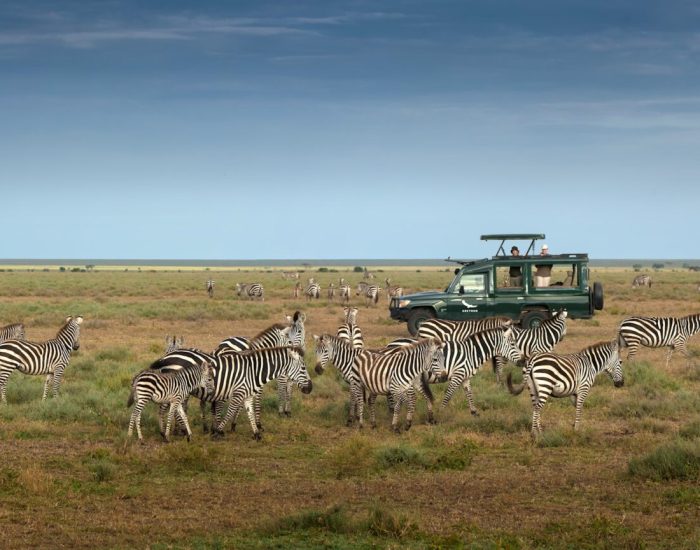Tanzania-Serengeti-Under-Canvas-SUC-Experience-Game-drive-vehicle-with-zeb