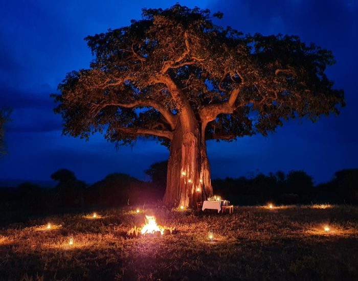 Tarangire-Kuro-Treetops-KILI