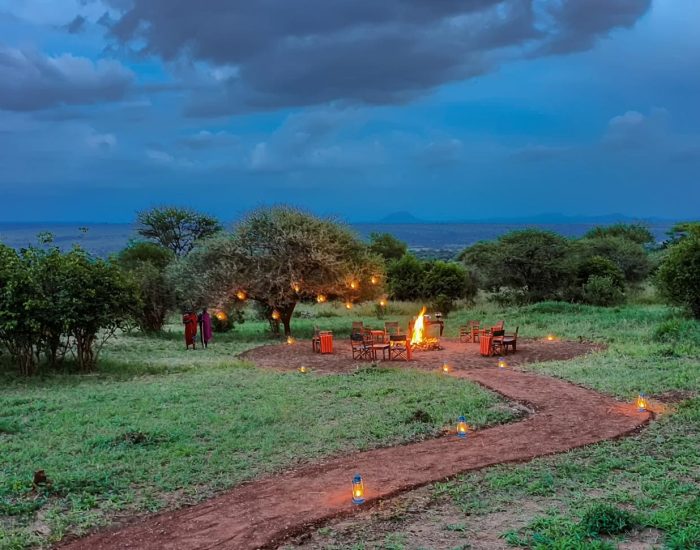 Tarangire-Kuro-Treetops-Lodge AFRICA
