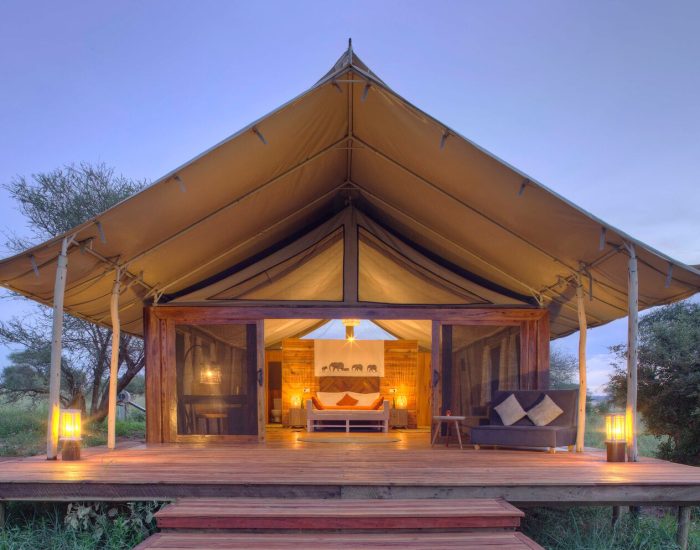 Tarangire-Ndovu-1 - KILICLIMB AFRICA SAFARIS
