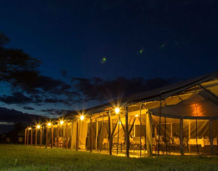 Thorntree Camp 28 - Kiliclimb Africa Safaris