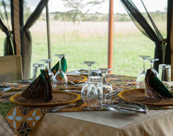 Thorntree Camp 98 - Kiliclimb Africa Safaris