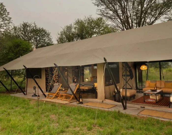 Ubuntu-Migration-Camp-Family-Tent- 54 - Kiliclimb Africa Safaries