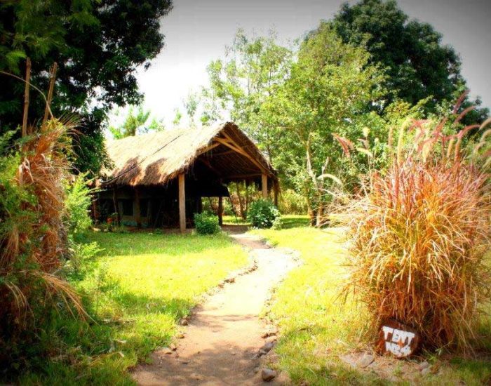 Udzungwa Mountain Lodge 09 - Kiliclimb Africa Safaris