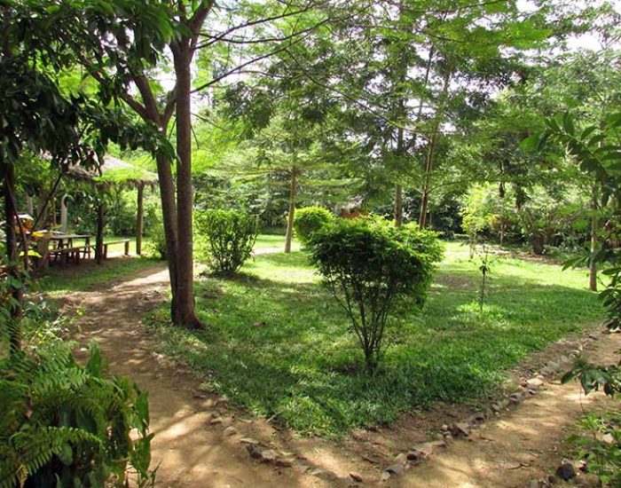 Udzungwa Mountain Lodge 11 - Kiliclimb Africa Safaris