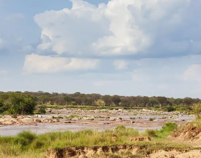 Wildlife-MaraRiver-3 gnu