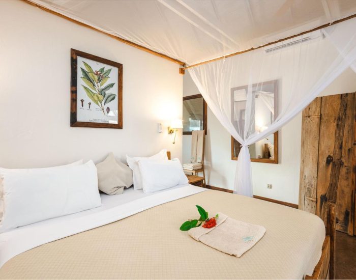 Zanzibar Clove Island Villas Makunduchi - 25 - Kiliclimb Africa Safaris