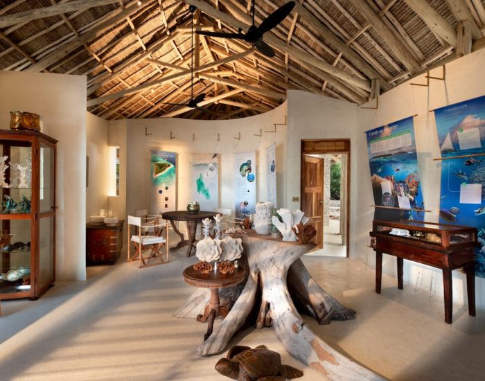 Zanzibar-Mnemba-Island-Discove