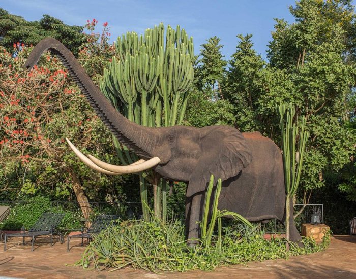 am-pool.jpg KUDU