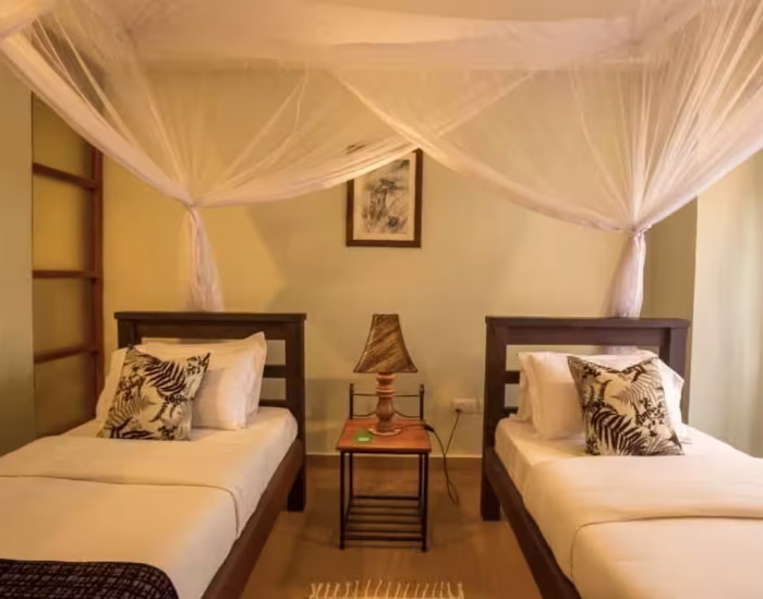 amani-safari-lodge 53 - KILICLIMB AFRICA SAFARIS