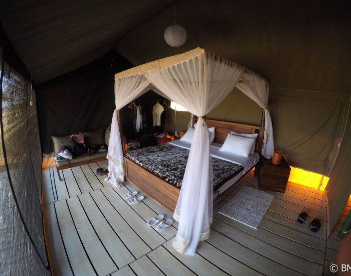 angata tarangire camp