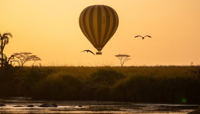 balloon safari