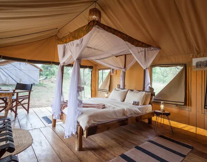 baobab honeymooners room