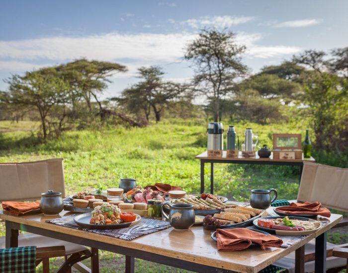 breakfast Gnu Ndutu Camp