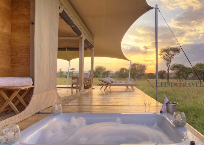 bushtops-roving-08-1800-1200