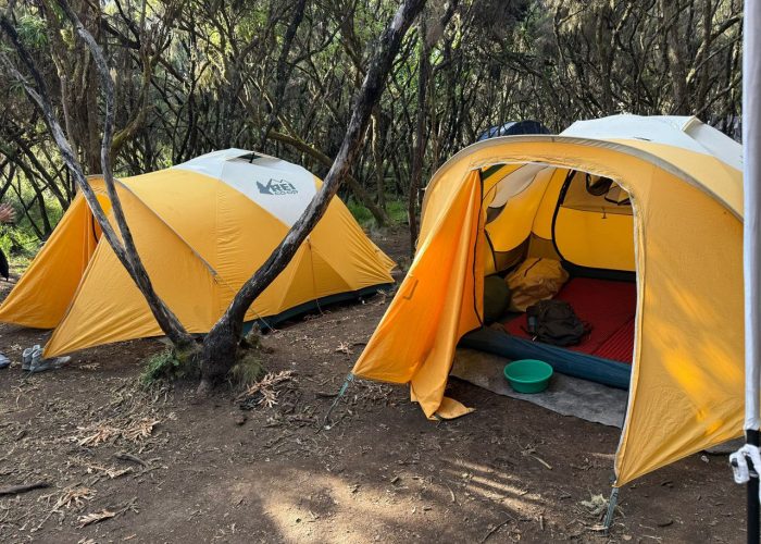 camp kilimanjaro signature8