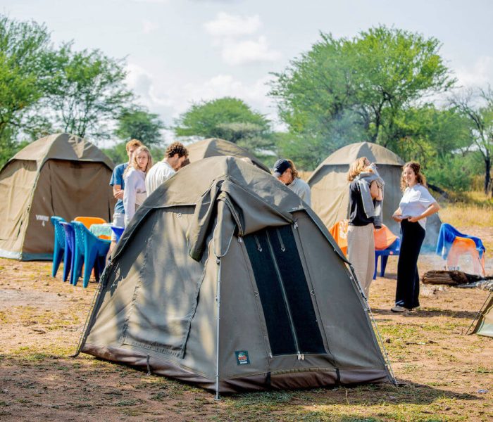 camping safari tz
