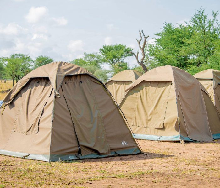 camping safari tz1