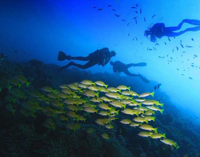 diving4