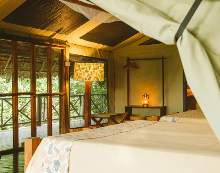 foxes_rufiji_caseypratt_loveafrica-71075ae7743