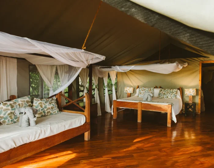 foxes_rufiji_caseypratt_loveafrica-7809_18b97791