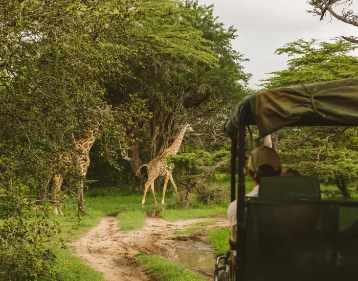 foxes_rufiji_caseypratt_loveafrica-8202556e0a4