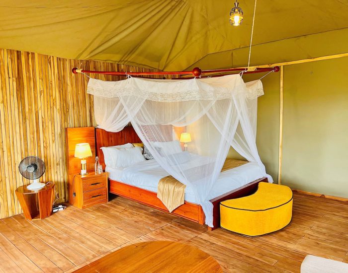 golden serengeti