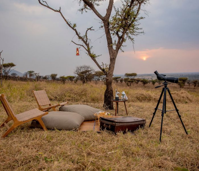 honeymoon safari1