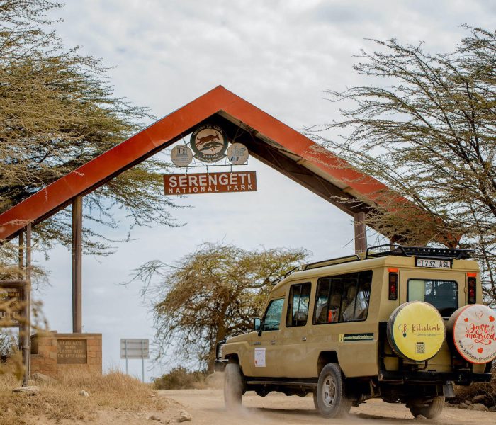 kiliclimb safaris Honeymoon Safari