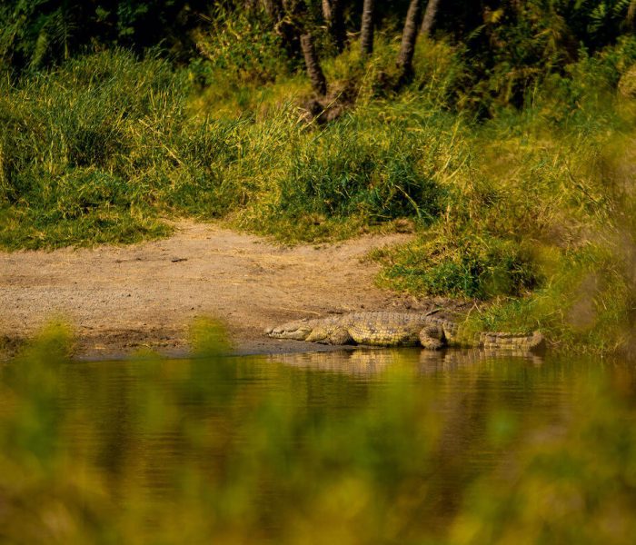 kiliclimbsafaris River