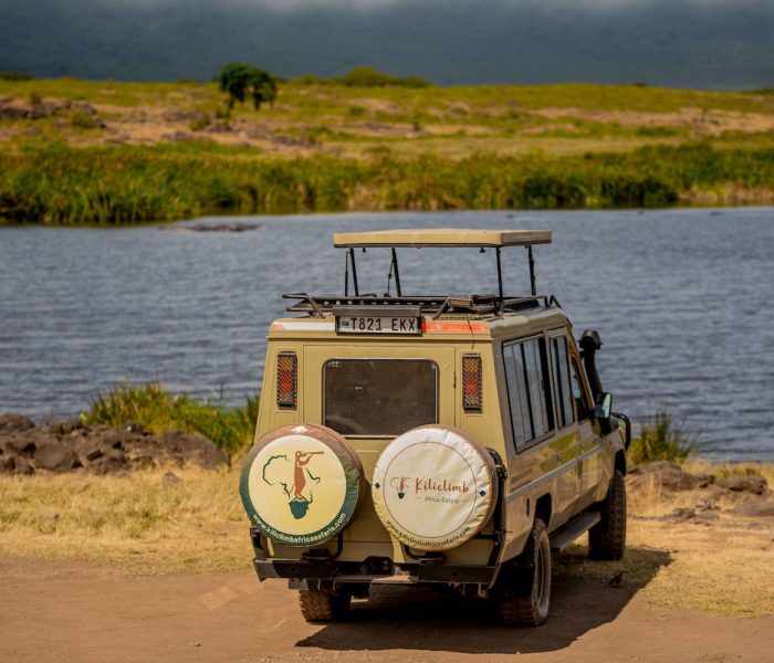 kiliclimbsafaris_232
