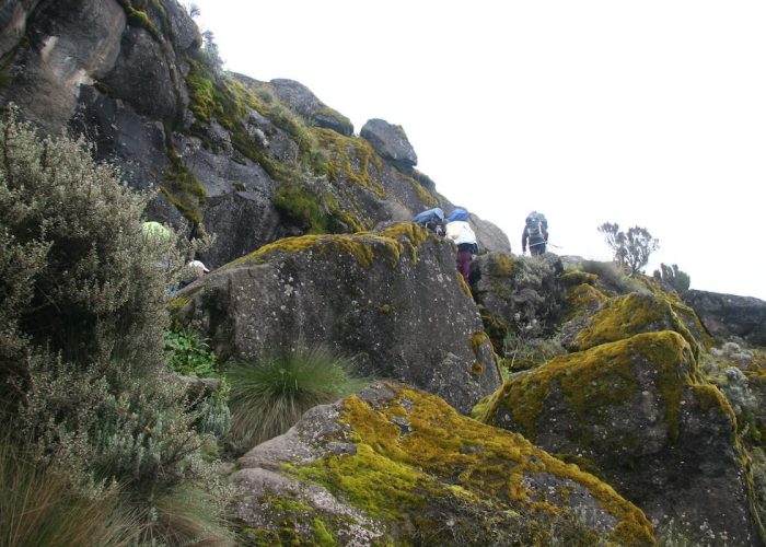 kilimanjaro Day trek