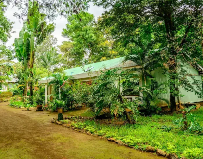 kilimanjaro hideway view
